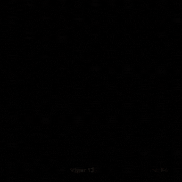 VIPER 12 KLASEK Firecracker